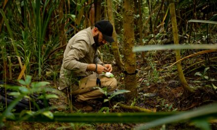 Field Recordist George Vlad Chooses Bubblebee Wind Protection